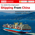 Professional Logistics Shipping/Shipping Service From China (Shipping Service)